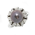 Huiscollectie  