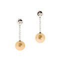 Huiscollectie  