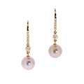 Huiscollectie  
