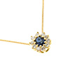 Huiscollectie  