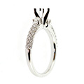 Huiscollectie  