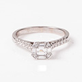 Huiscollectie 