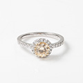 Huiscollectie 