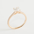 Huiscollectie 