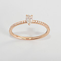 Huiscollectie 