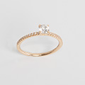 Huiscollectie 