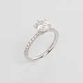 Huiscollectie Solitair