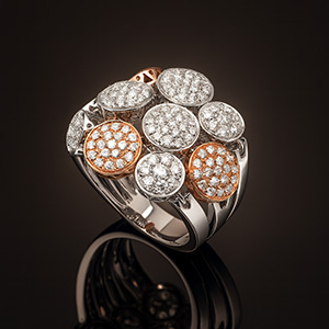 Huiscollectie PonteVecchio 